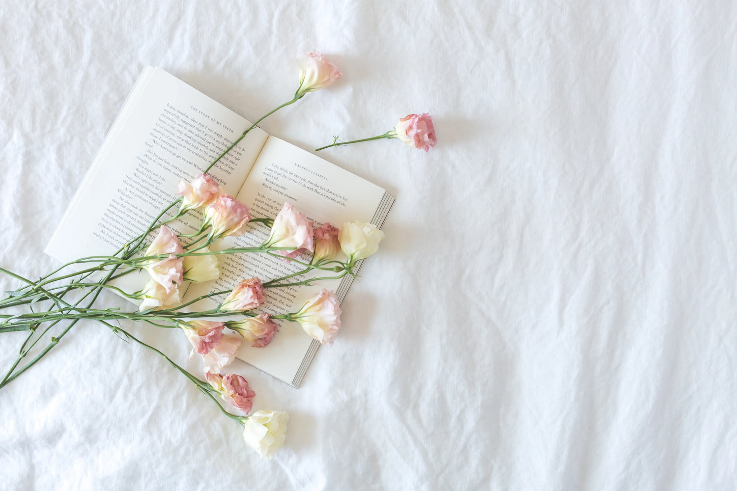 Bamboo sheets, towels, robes, socks and eco-friendly fabrics by Lovalin